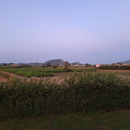 Casa Dei Fiori Villa Sarakinadhon ภายนอก รูปภาพ